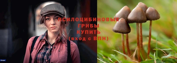соль ск Кукмор