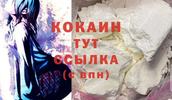 соль ск Кукмор