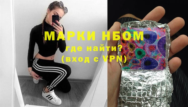 соль ск Кукмор