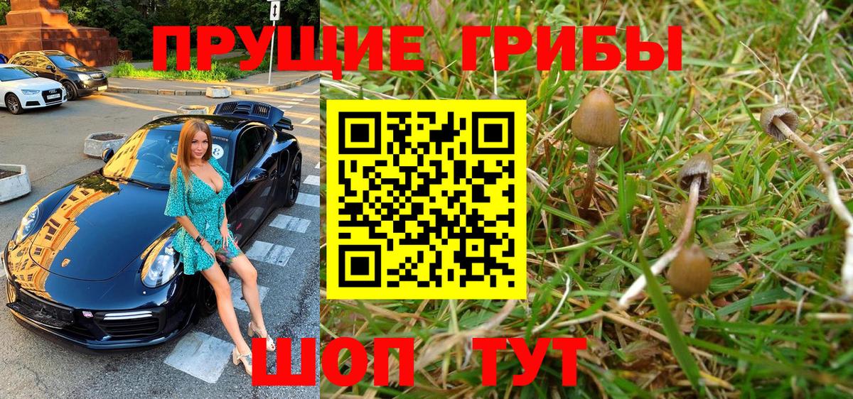 Псилоцибиновые грибы Psilocybe  наркошоп  Североморск  Вход с VPN 