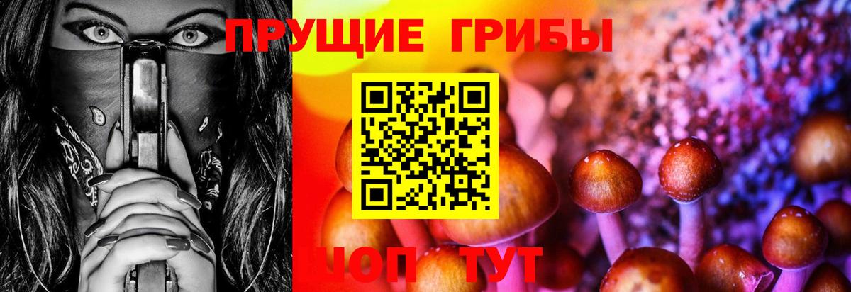 Псилоцибиновые грибы ЛСД Североморск
